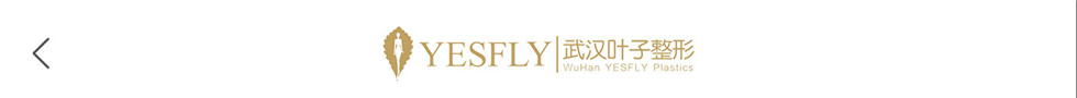 武汉叶子整形医院__WuHan YESFLY Plastics